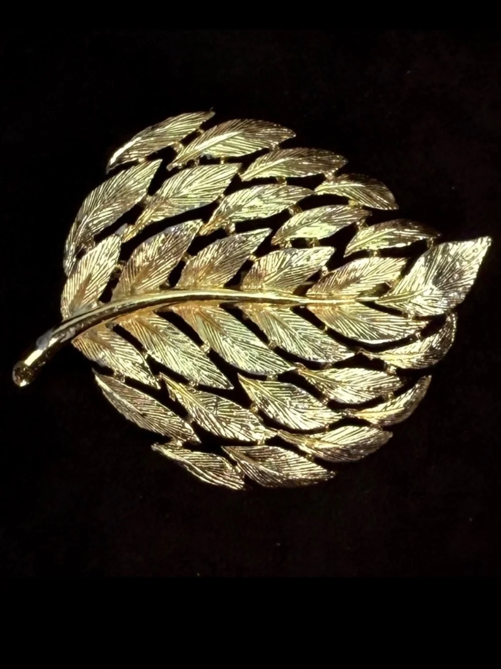 Gorgeous, aged goldtone etched leaf raised brooch, pin
